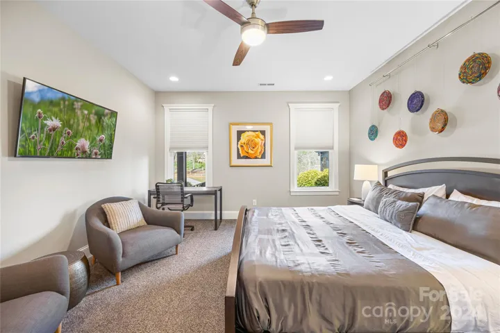 Lower level second bedroom