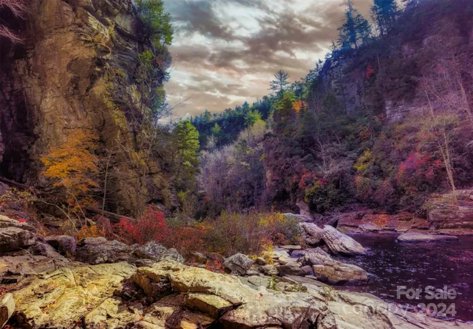 Linville Gorge a half a mile away from house.