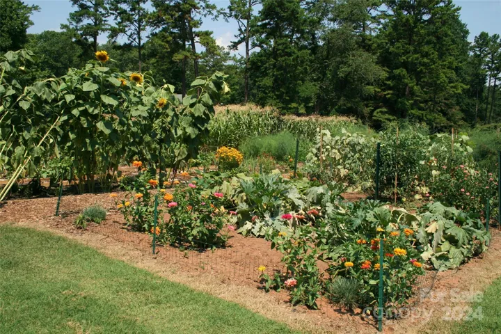 Community gardens
