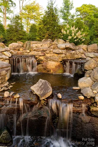 Water feature/koi pond