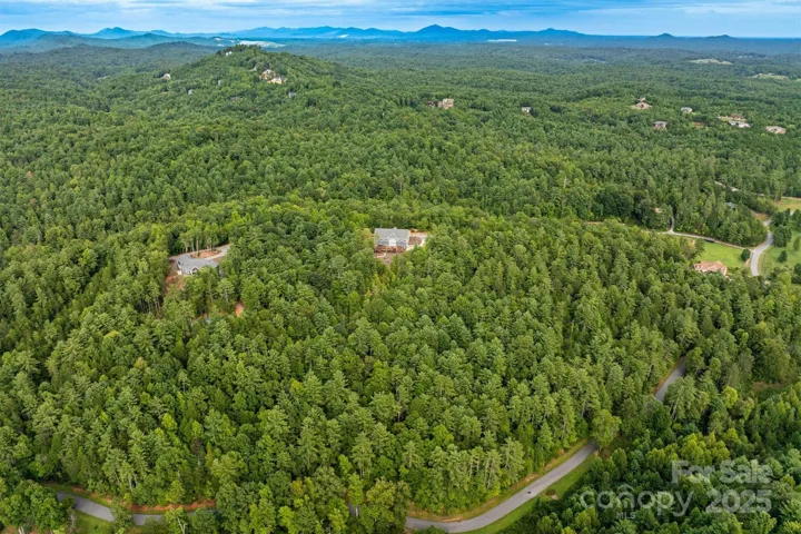 25 acres -The acreage is on both sides of Royal Lane and there is also road frontage on Low Country Rd, with multiple areas where a second home or garage could be built.