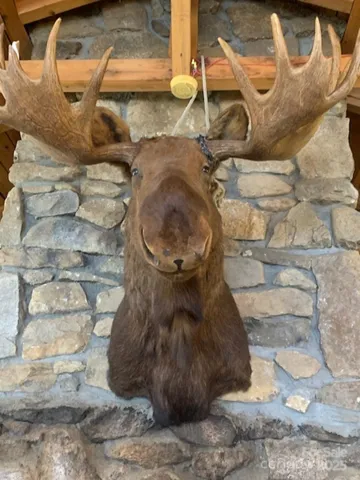 1170