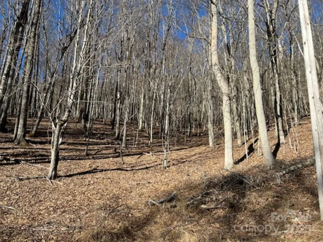 326 Hamlin Ln., Wolf Laurel