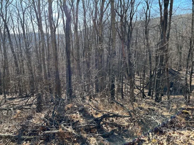 337 Hamlin Ln., Wolf Laurel