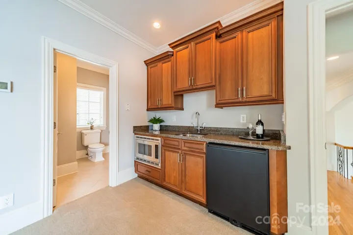 Media Room with sink, fridge & microwave