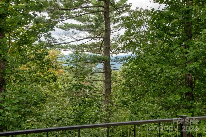 Partial Mountain Views Year Round. Spectacular Views in The Winter.