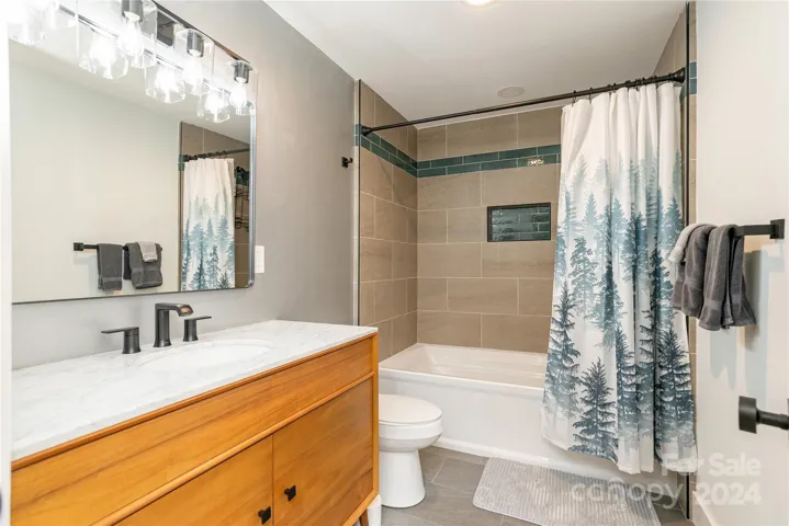 Lower Level Bathroom