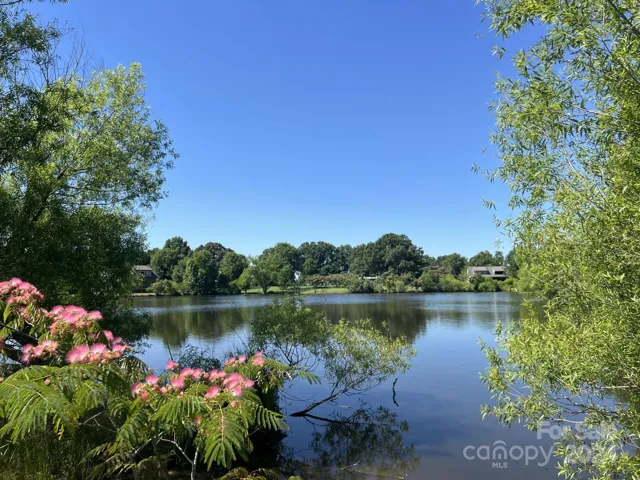 Beautiful Lot
