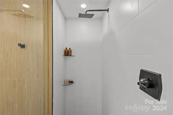 Walk-in shower with frameless from