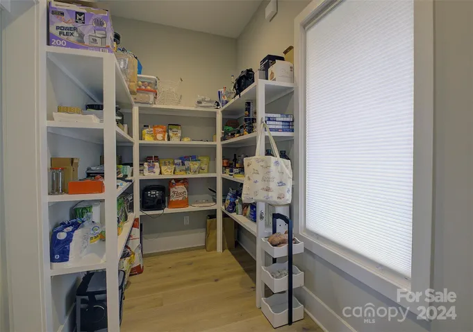Hidden pantry