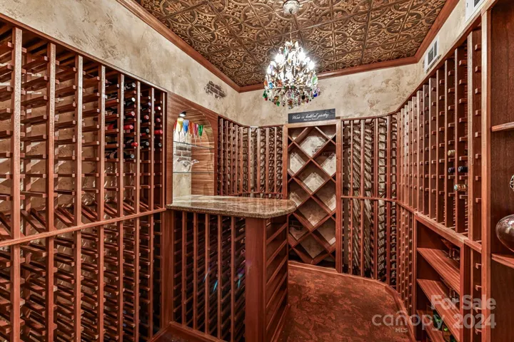 Wine Celler with custom chandelier from Italy!