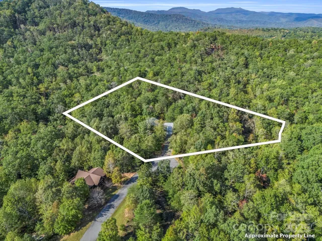 Aerial view w/approx. property lines