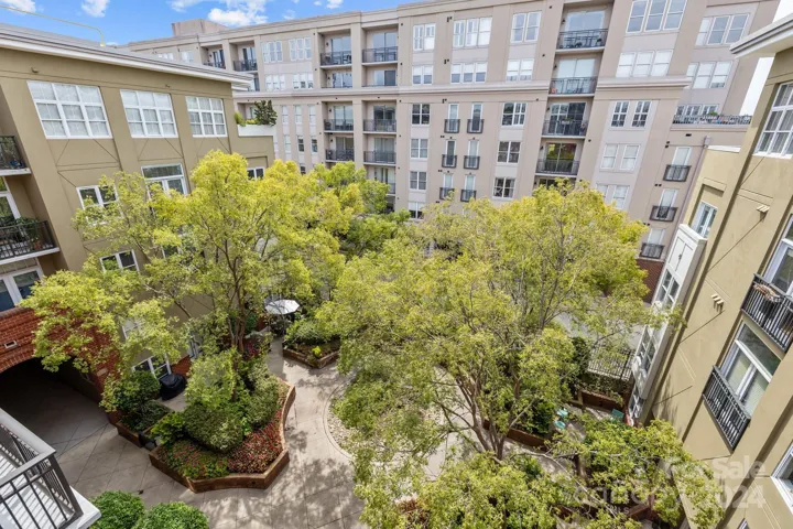 Lovely tree-top views of the private courtyard.