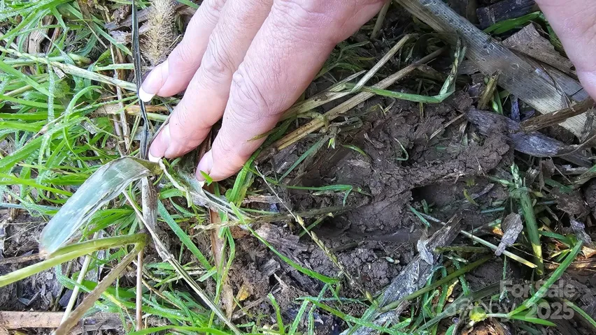 1170