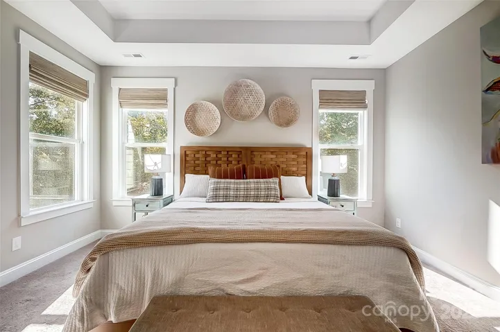 Primary suite with tray ceiling and spa like bath