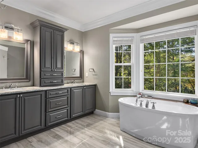Master bath remodel bub and shower