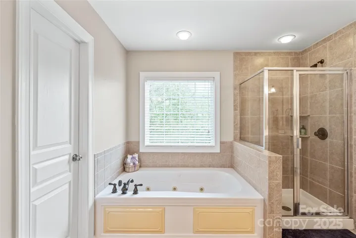 Jetted tub and separate shower