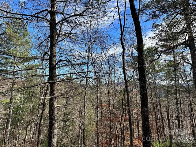 Long-range mountain views from this easy build site!