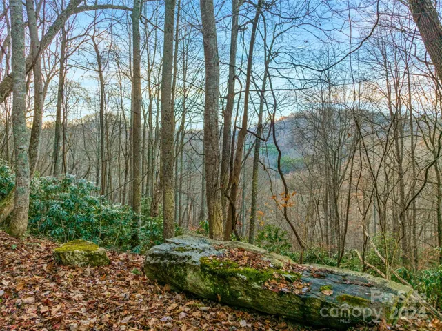View from potential upper homesite location, can likely be year round with selective clearing