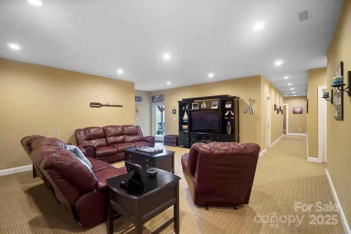 Basement Living Space