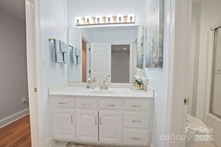 Lower level full bath