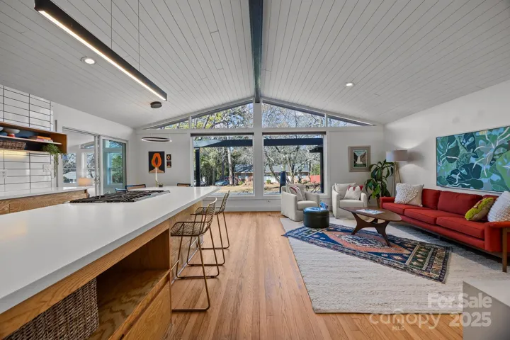 Vaulted ceiling with custom details