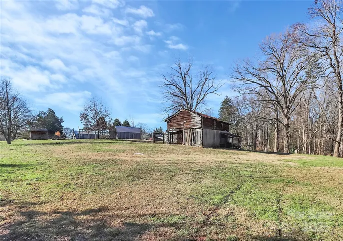 Backyard by treeline