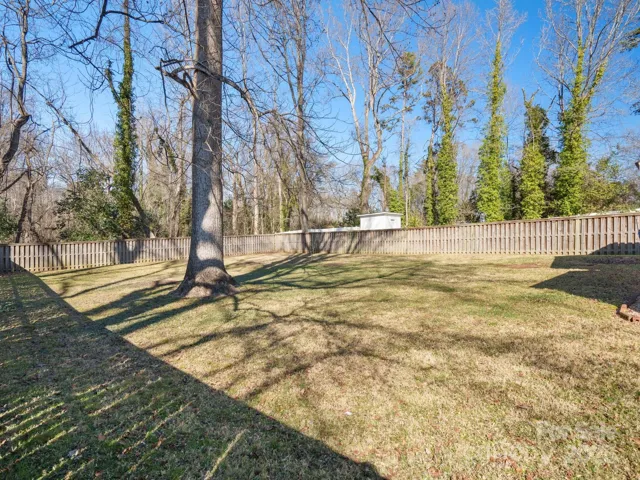 Large Backyard