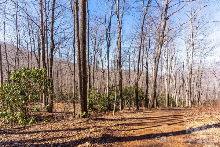 Gently sloping lot, perfect for easy building