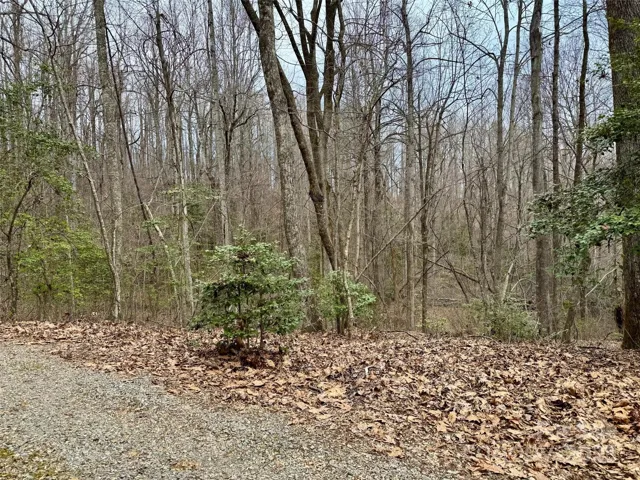 Orchard Mountain Lot 5, 3.6 acres