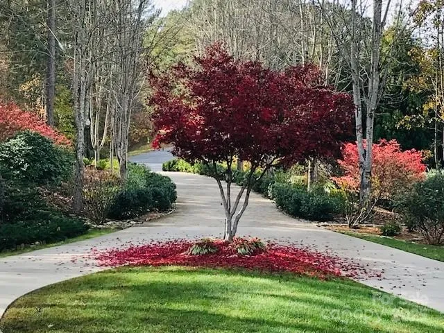 Front yard with circle driveway