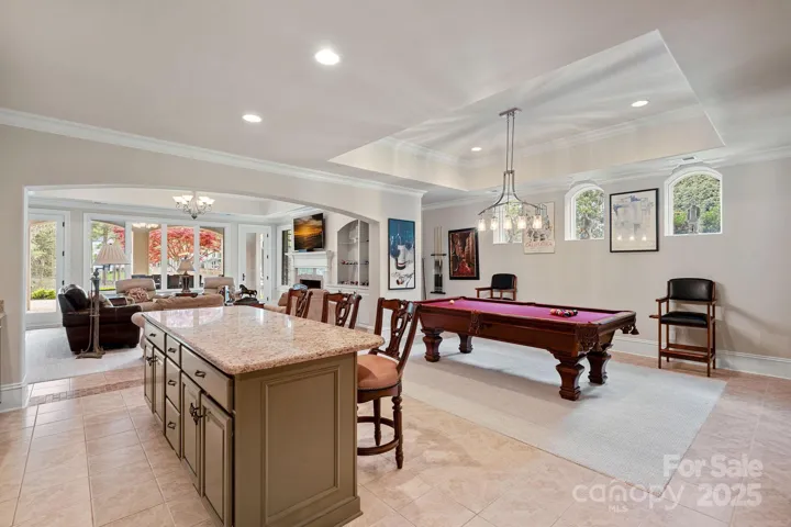 Basement Entertaining area