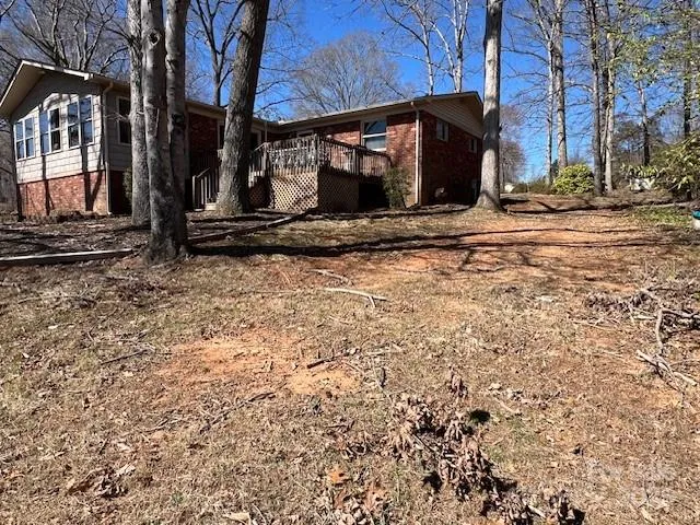 Side View