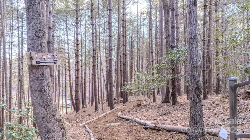 pathway to lake