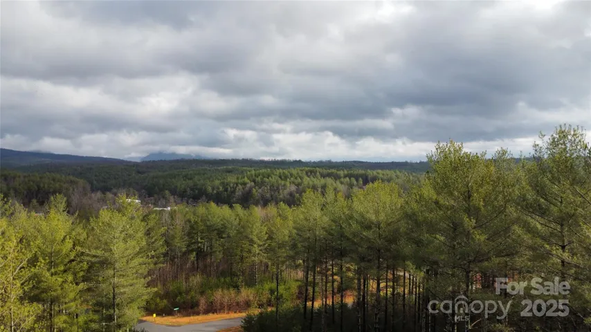 Mountain Views!