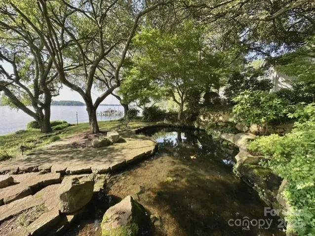 Live Oaks Koi pond