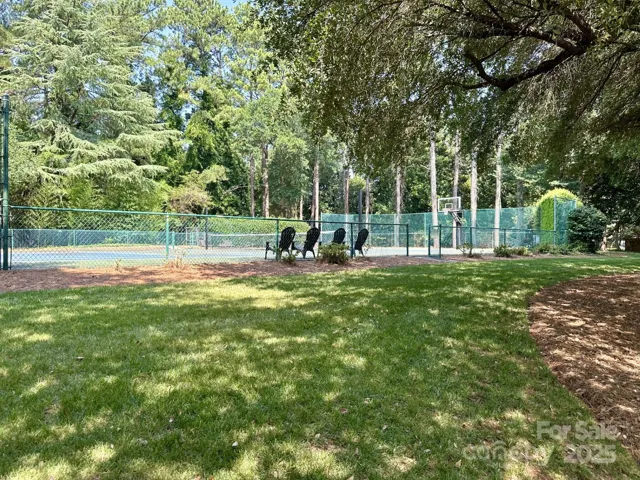 Live Oaks sport court