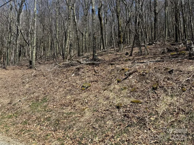 Private Location W/ View Potential