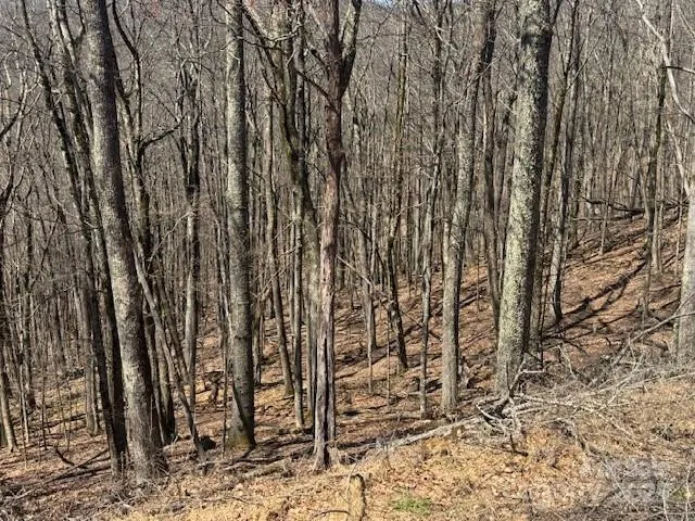 Private Location W/Views