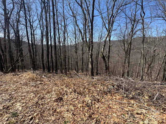 Nice Building Lots, Private Location