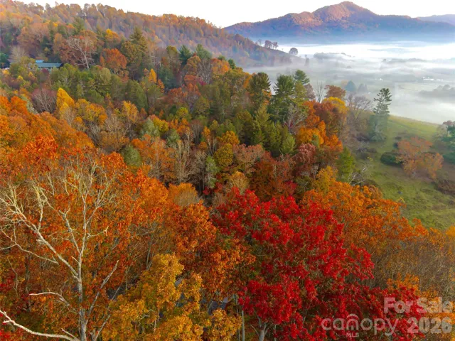 Fall in the mountains is irresistible from this lot!