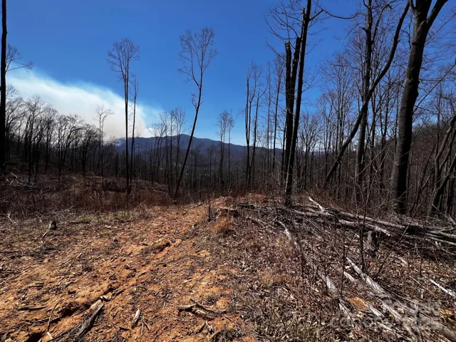 Cold Mountain view to the west