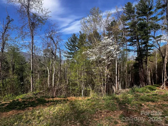 Little Creek Drive - 5A