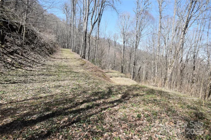 The Driveway to the house pad has one switchback, very wide and easy to turn