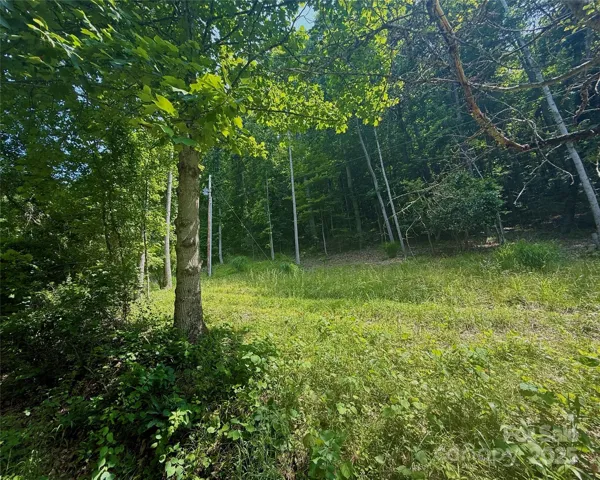 Easty access for driveway and home