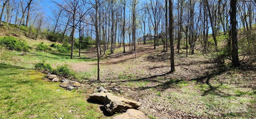 From the lower portion of the lot