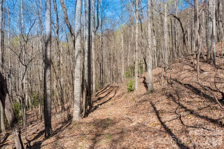 Acreage along Ridgeline