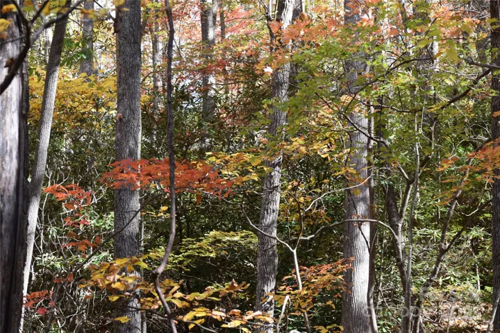 Fall 2025 on the property