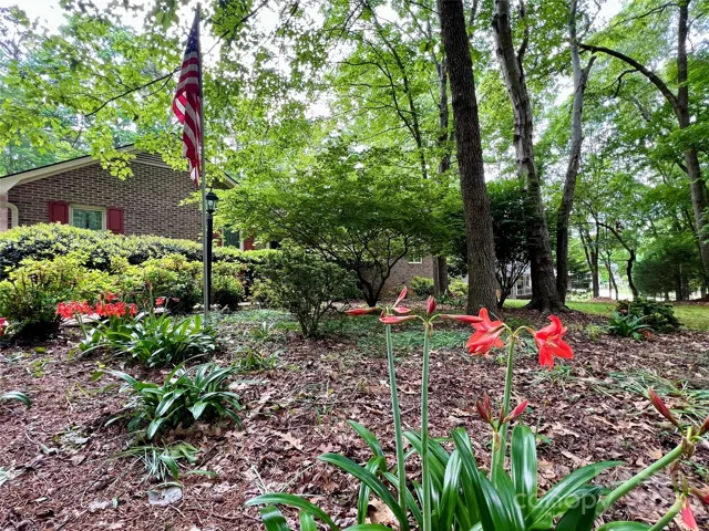 Established Landscaping