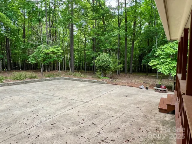 Rear Driveway and Yard